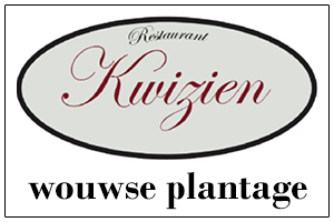kwizien.png