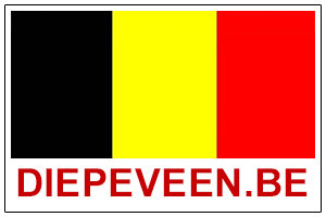 diepeveen-be.png
